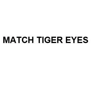 MATCH TIGER EYES — UAE trademark in Class 3