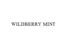 WILDBERRY MINT