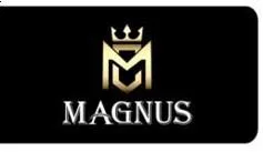 MAGNUS — UAE trademark, Class 14, No. 467136