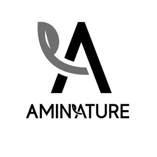 A AMINATURE