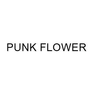 PUNK FLOWER