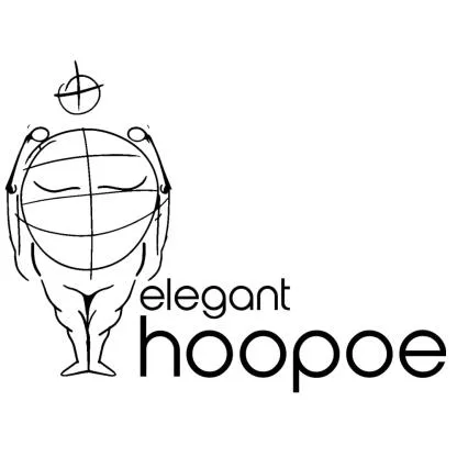 elegant hoopoe
