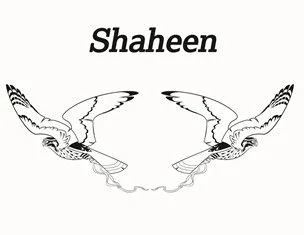 Shaheen