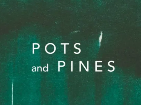 POTS and PINES — UAE trademark, Class 21, No. 459008
