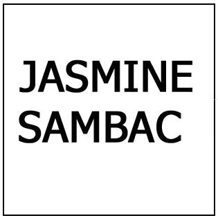 JASMINE SAMBAC