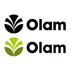 الكلمةOlam مع شكل دائري