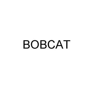 BObcat