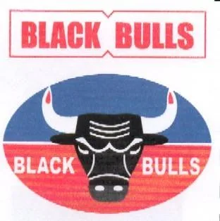 BLACK BULLS — UAE trademark in Class 3