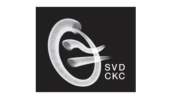 SVD CKC — UAE trademark, Class 35, No. 385186