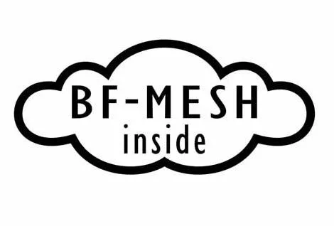 MESH -BF inside