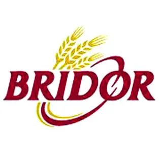 BRIDOR