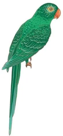 Logo mark No. 1870955 — UAE trademark, Class 30, No. 1870955