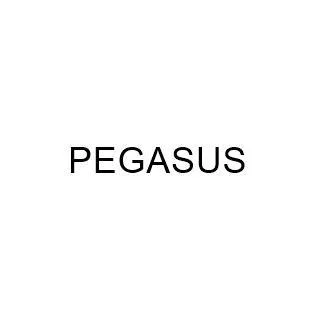 PEGASUS