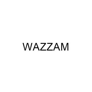 WAZZAM — UAE trademark, Class 9, No. 479685