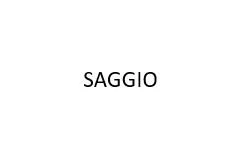 SAGGIO