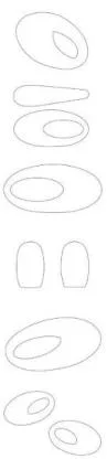 شكل — UAE trademark, Class 36, No. 374531