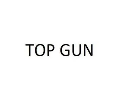TOP GUN