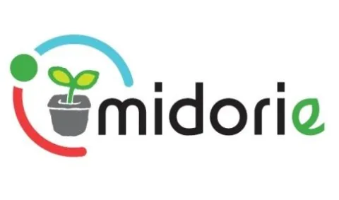 MIDORIE