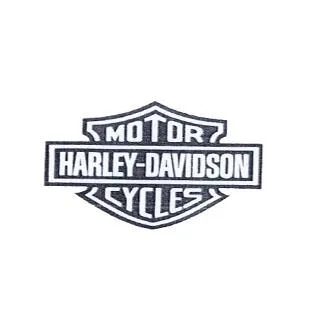 MOTOR HARLEY DAVIDSON CYCLES