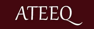 ATEEQ — UAE trademark, Class 35, No. 481009