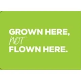 GROWN HERE NOT FLOWN HERE — UAE trademark in Class 31