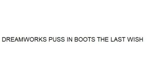 DREAMWORKS PUSS IN BOOTS THE LAST WISH