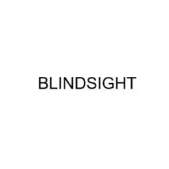 BLINDSIGHT