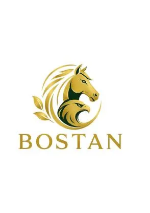 BOSTAN — UAE trademark, Class 20, No. 486858
