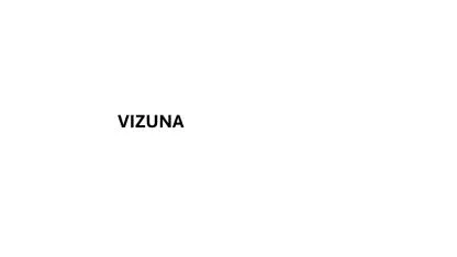 VIZUNA — UAE trademark, Class 9, No. 477551