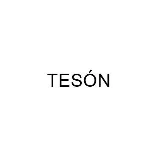 TES?N — UAE trademark, Class 32, No. 457722