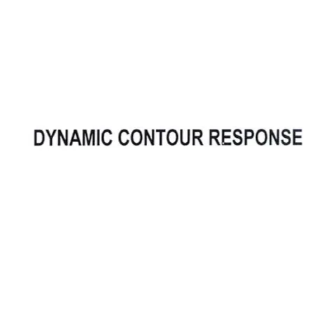 DYNAMIC CONTOUR RESPONSE