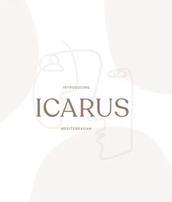 INTRODUCING ICARUS MEDITERRSIAN