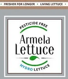 Armela Lettuce HYDRO LETTUCE PESTICIDE FREE FRESHERFOR LONGER LIVING LETTUCE