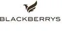 BLACKBERRYS — UAE trademark, Class 35, No. 425244