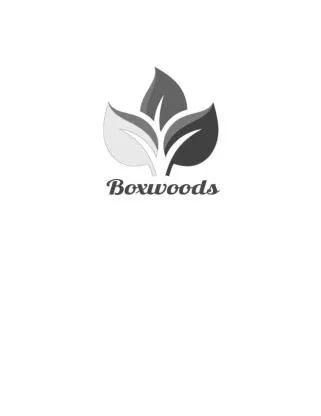 Boxwoods — UAE trademark, Class 28, No. 376687
