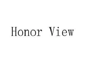 Honor View