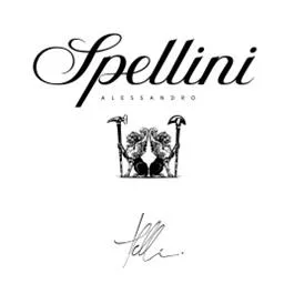 Spellini ALESSANDRO — UAE trademark, Class 25, No. 428867