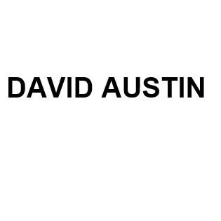 DAVID AUSTIN