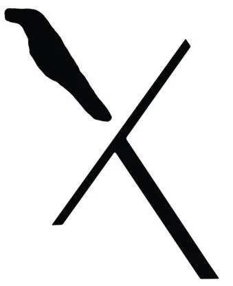 X — UAE trademark, Class 3, No. 436968